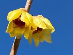 -国家植物园南园