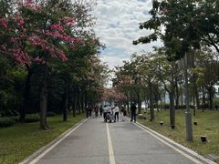 -顺峰山公园