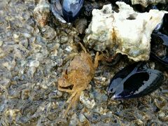 android_upload_pic-日照世帆赛基地