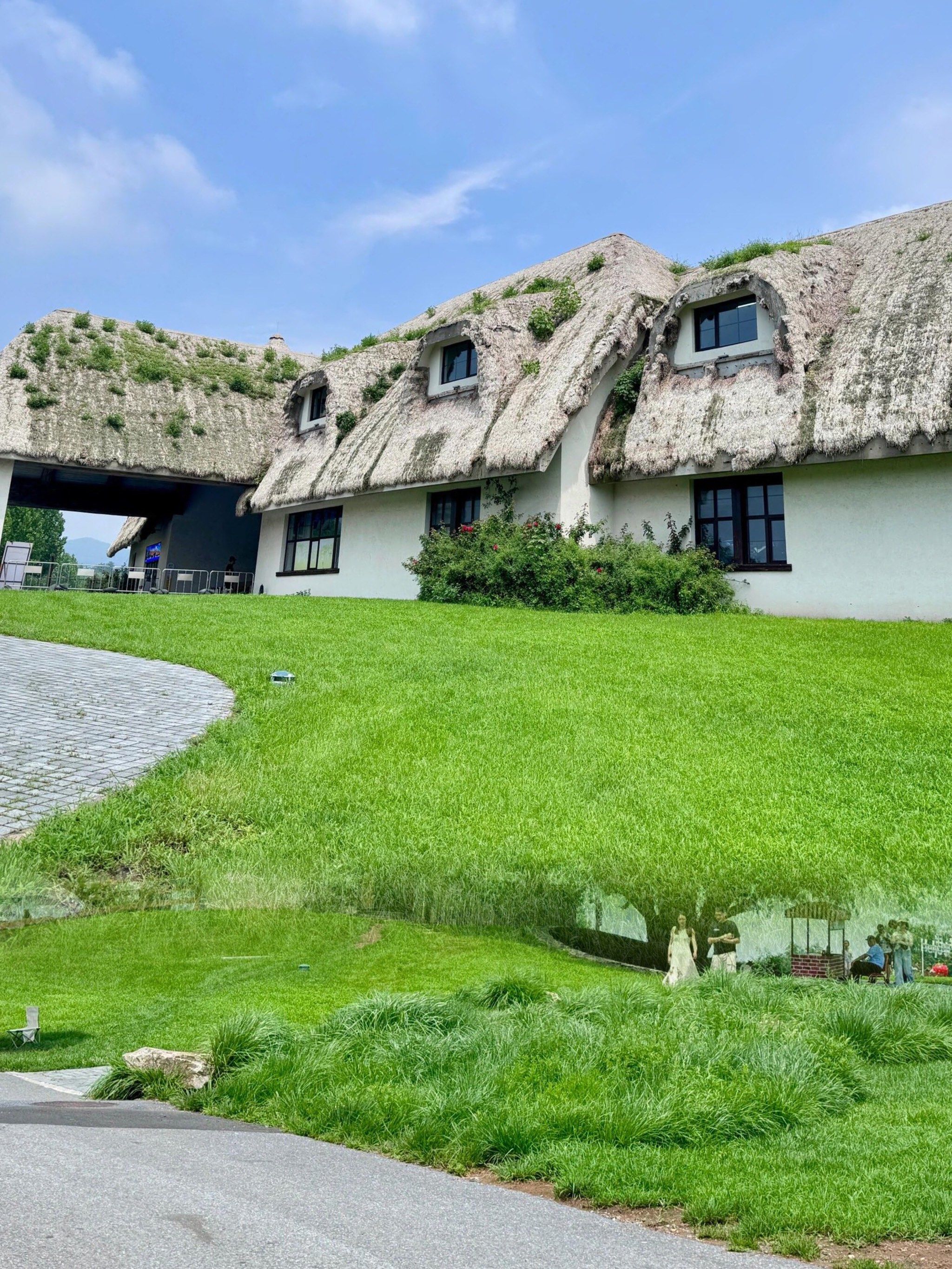 【大连三寰牧场】——都市里的田园牧歌