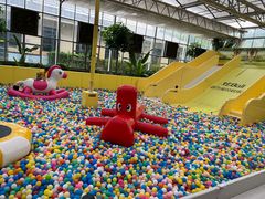 -南宫五洲植物乐园