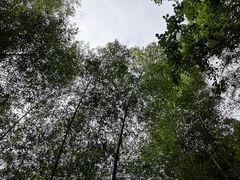 -南山风景名胜区