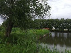 -白渔泡湿地公园