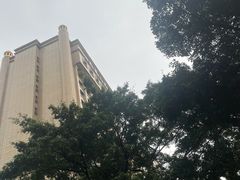 -巴扎美食·新疆菜·西域歌舞表演餐厅(新疆大厦店)