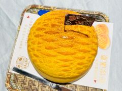 -邑家人·山水四合院