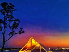 -春花秋色城市公园