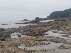 -广鹿岛景区