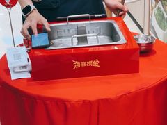 -海底捞火锅(巴黎春天浦建店)