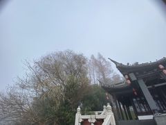 -梅园