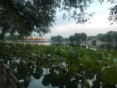 -长春市南湖公园