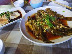 嘎牙子-百花渔村