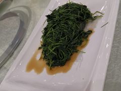 -梅龙镇酒家(南京西路总店)