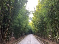 -蝴蝶泉公园