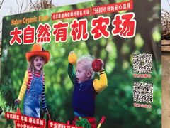 -大自然农场蔬菜草莓采摘园