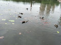 -前关湿地公园