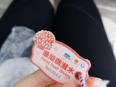 -三亚蜈支洲岛旅游区