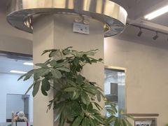 -MT麦如麦立送(梅溪新天地店)