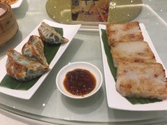 -老洋坊饭店(厚街东宝路店)