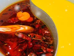 -青瓷火锅料理(西单大悦城店)
