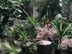 -滕头生态酒店(奉化店)