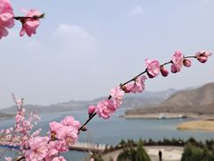 -易水湖景区