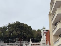 -中山公园(石岐街道)