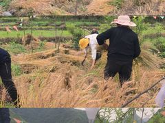 -楠溪江风景名胜区