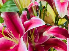 -净行天厨(莲塘总店)