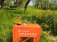 -绿堤公园