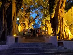 -龙环葡韵住宅式博物馆