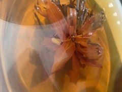 -芸山季·云南山珍菌火锅(南翔印象城MEGA店)