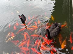 -安吉涵田度假村·水榭居中餐厅