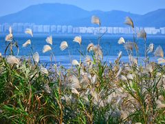 -东山风景区(洞庭东山)