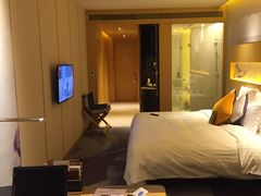 -苏州金鸡湖文博诺富特酒店