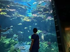 -暹罗海洋世界
