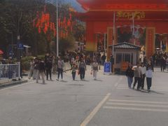 -风云岭森林公园