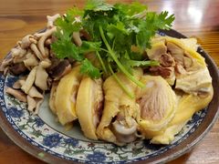 -九斤黄三黄鸡专卖店