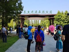 -黄海国家森林公园