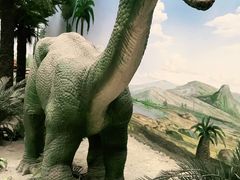 -国家自然博物馆