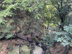 -莫干山风景区