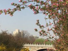 -海棠花溪(元大都城垣遗址公园)