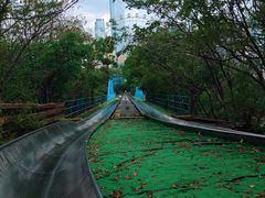 -富斯特索道