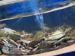 -海天盛宴新派海鲜自助餐厅(群力店)