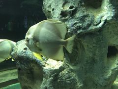 -福州罗源湾海洋世界旅游区