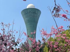 -狐尾山公园