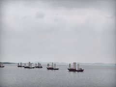 -鄱阳湖国家湿地公园