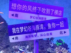 -横店影视城梦幻谷园区