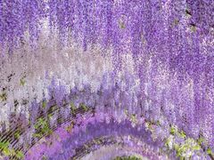 -长影旧址博物馆