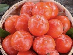 -合家亲妈妈菜·博山菜老字号(联通路店)