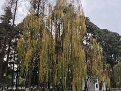 -温江公园